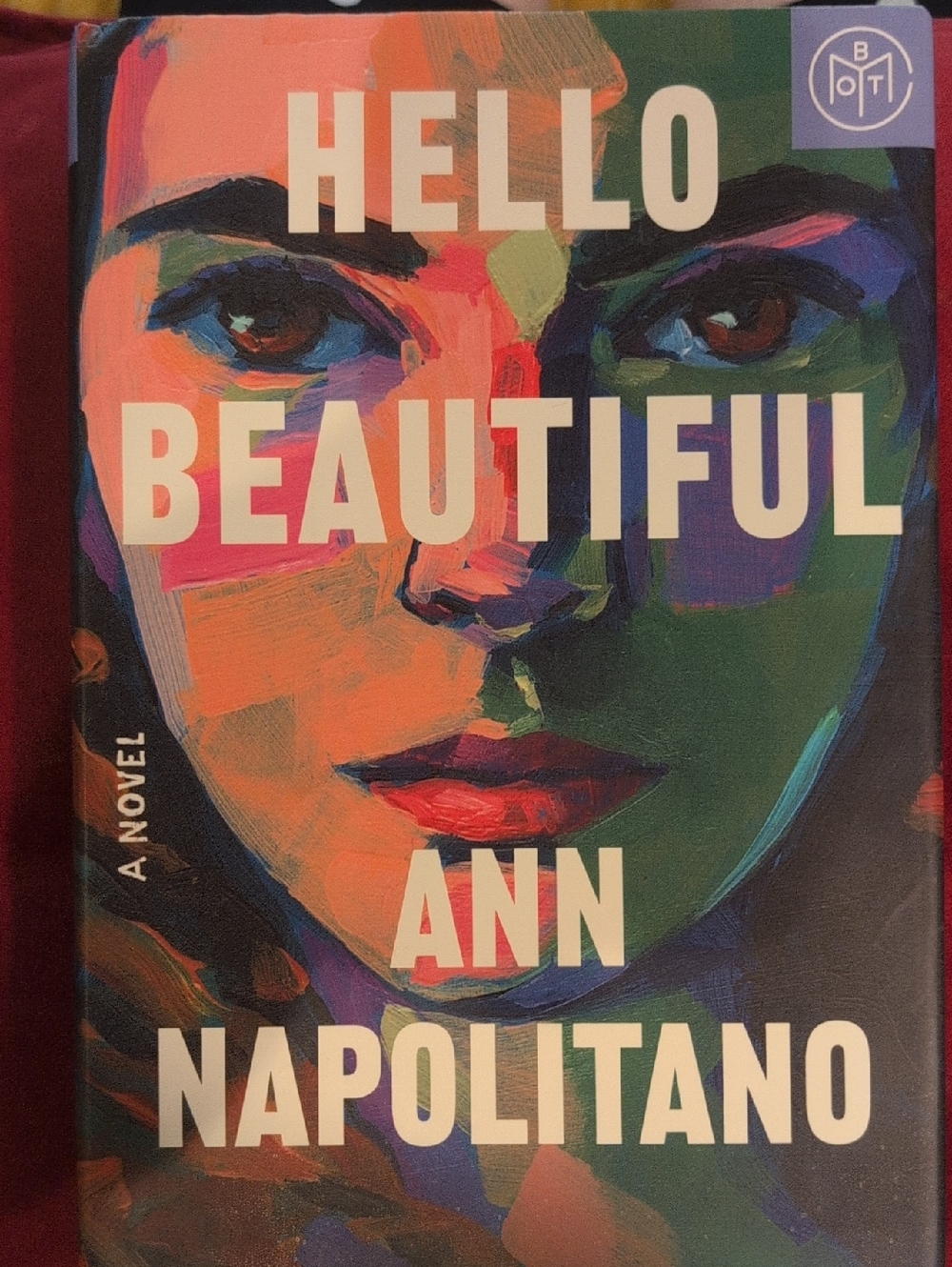 Hello Beautiful by Ann Napolitano – Colorful Portrait Cover